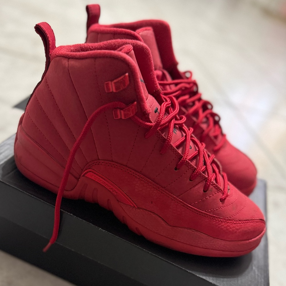 Suede Jordan 12s